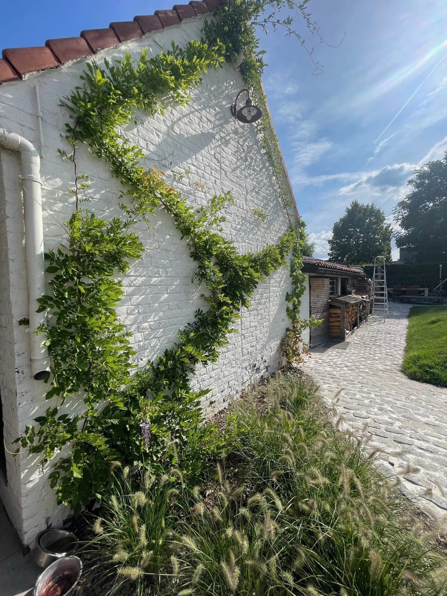 Detail van een aangelegde tuin met terras en beplanting